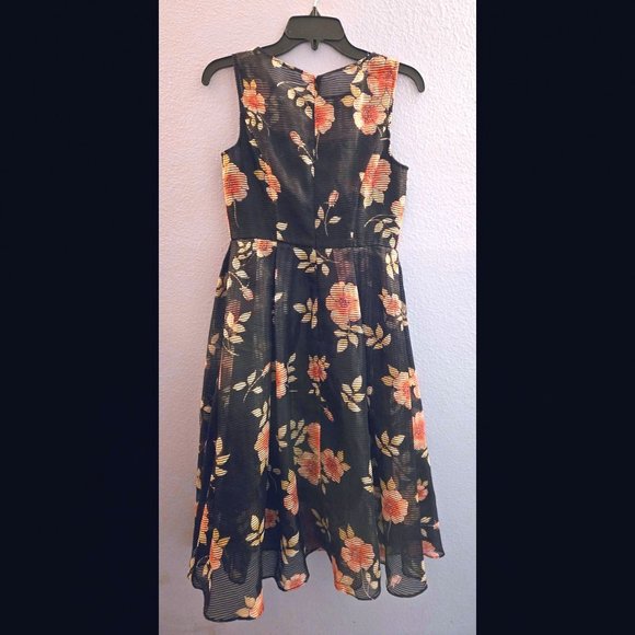 Adrianna Pappell Sheer-Striped Floral Midi Dress, Fitted and Lined, Size 2 - Picture 2 of 4